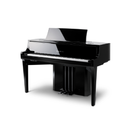 Гибридные пиано
